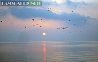 qeshm2.jpg